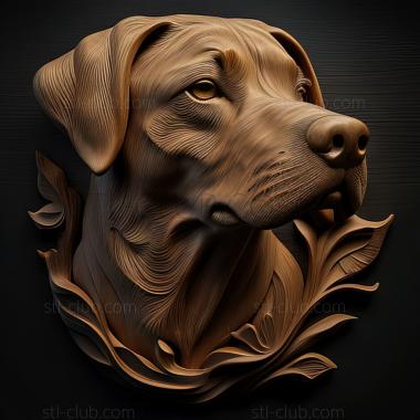 3D model st Pel dog famous animal (STL)